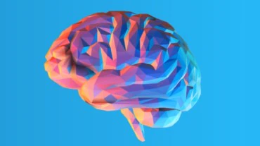 Células nervosas no cérebro determinam sua confiança na tomada de decisões: Estude